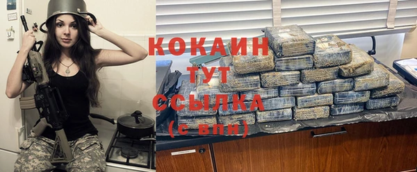 твердый Алексин