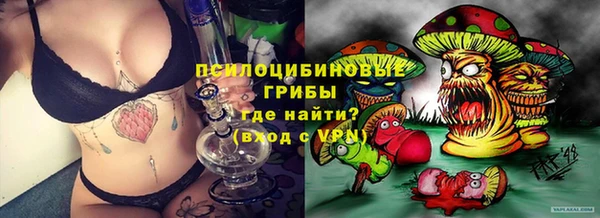 соль ск Алексеевка